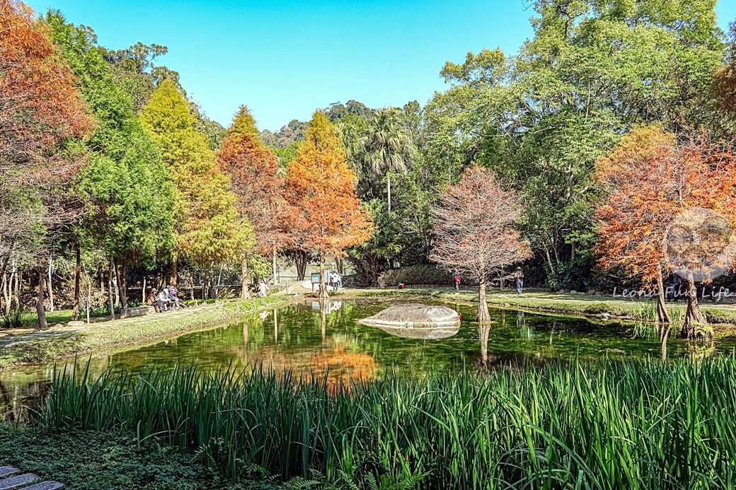 20251027_-217 20251027_-217