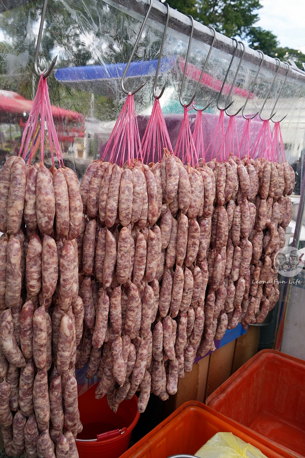 20251027_-392 20251027_-392