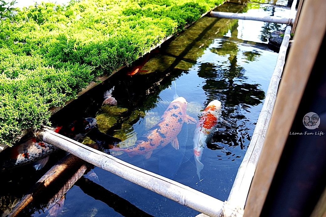 20251027_-299 20251027_-299