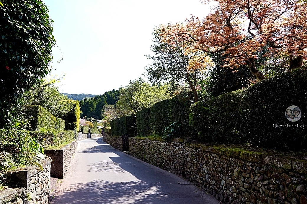 20251027_-301 20251027_-301