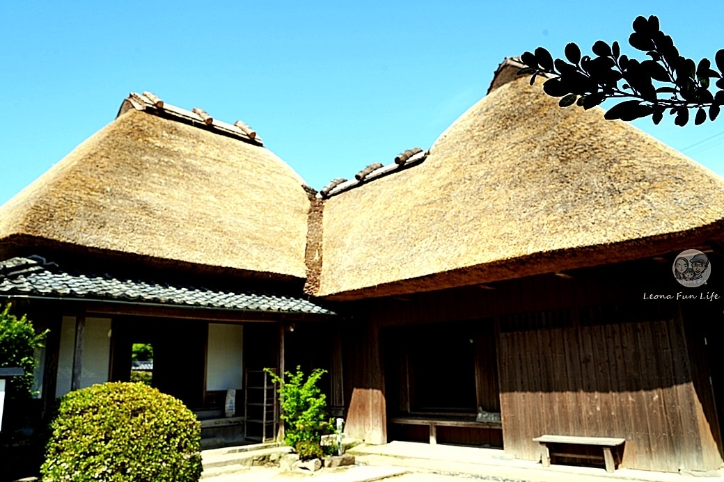 20251027_-304 20251027_-304