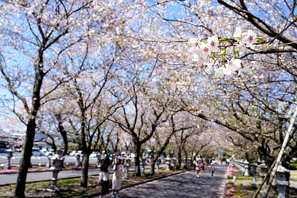 20251027_-307 20251027_-307