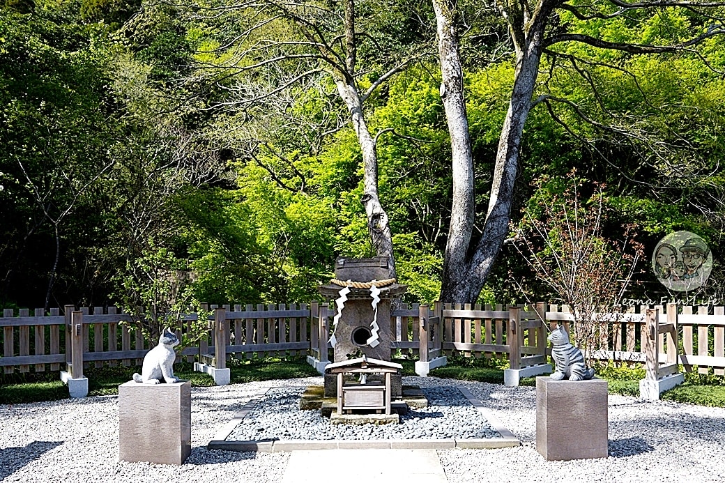 20251027_-314 20251027_-314