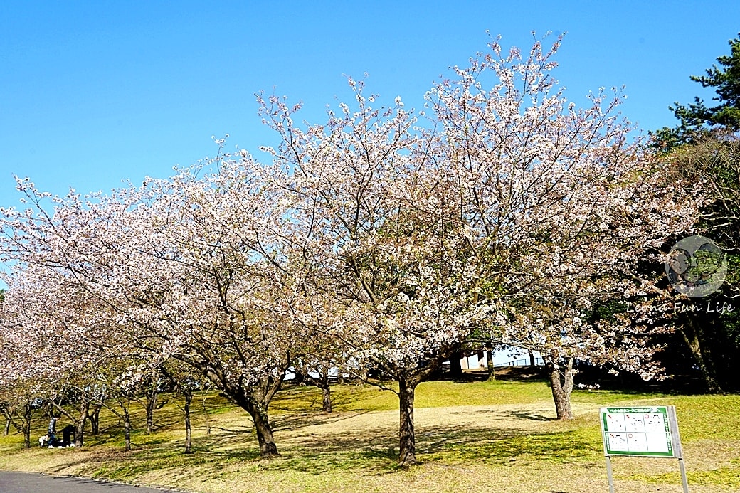 20251027_-316 20251027_-316