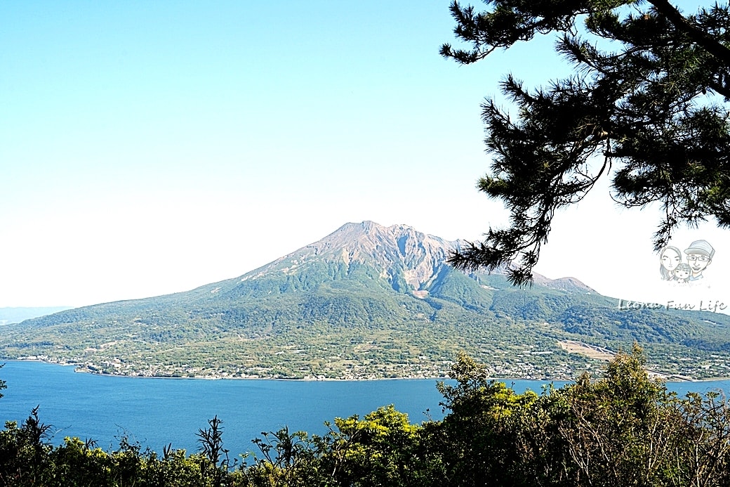 20251027_-317 20251027_-317