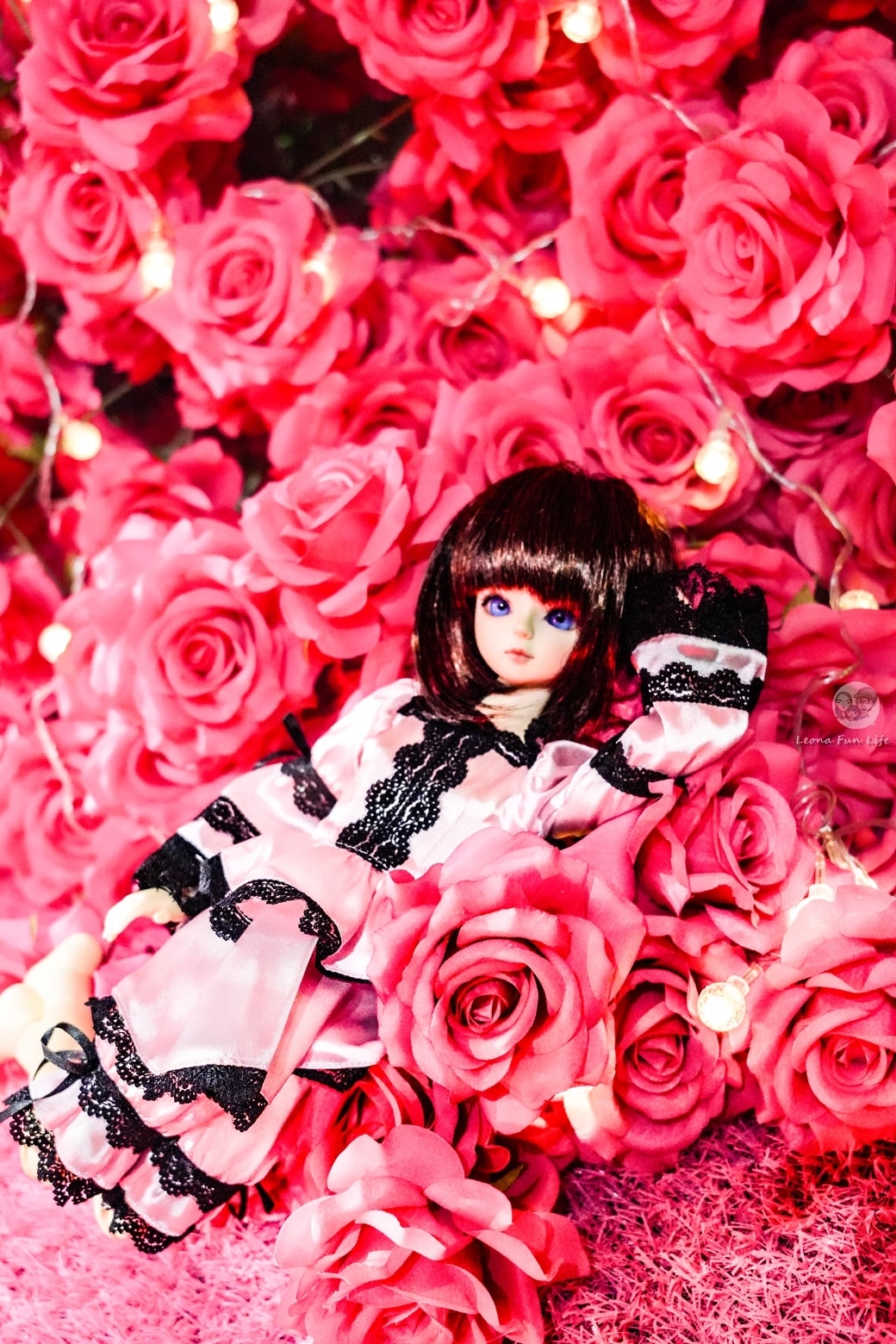 20251027_-175 20251027_-175