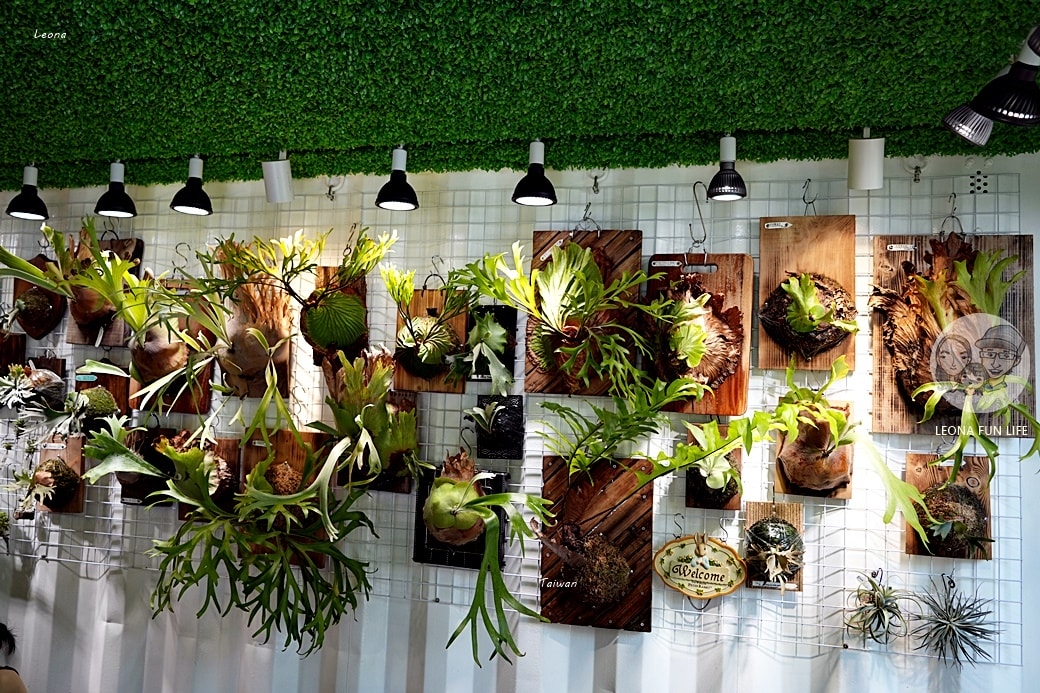 20251027_-362 20251027_-362