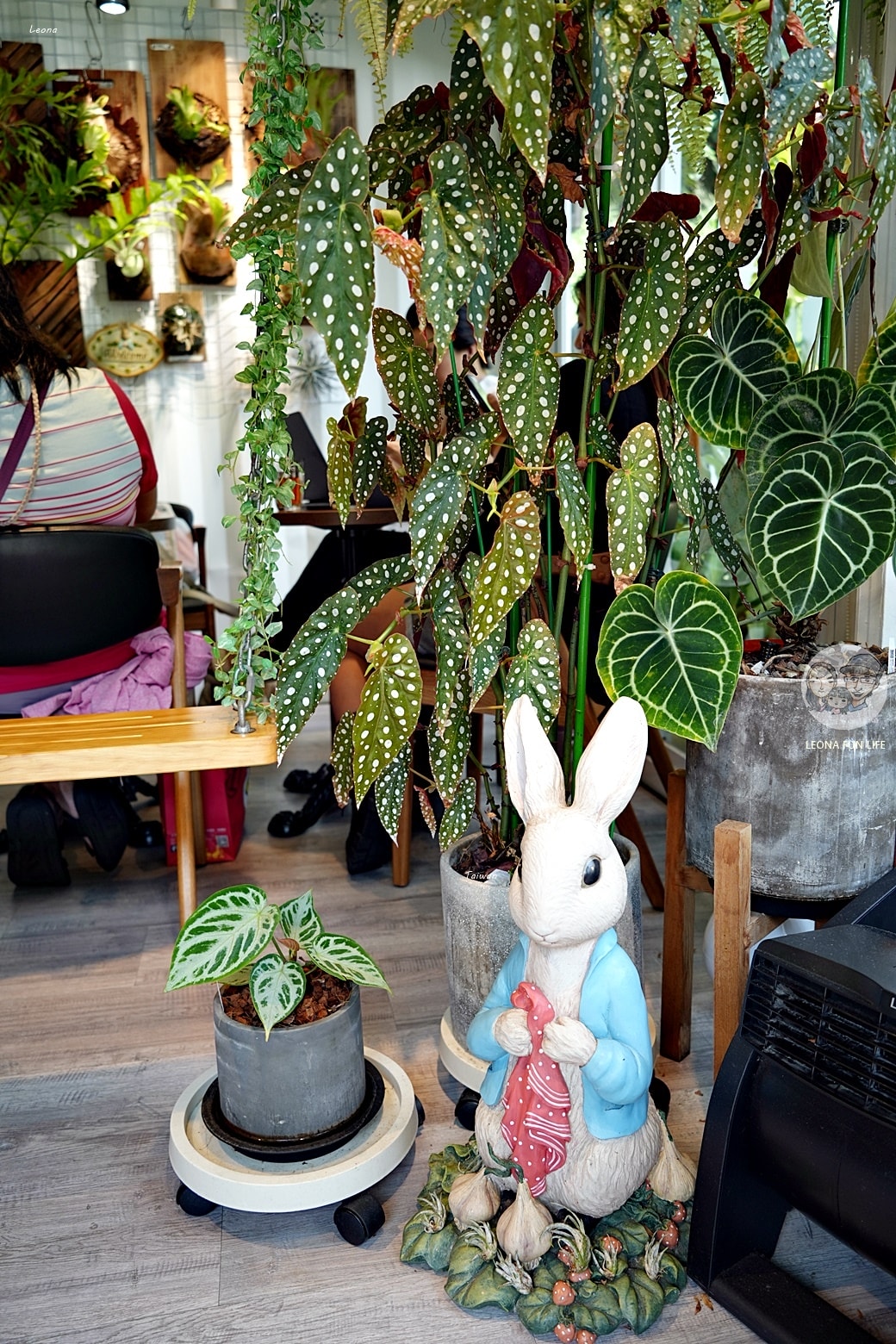 20251027_-363 20251027_-363