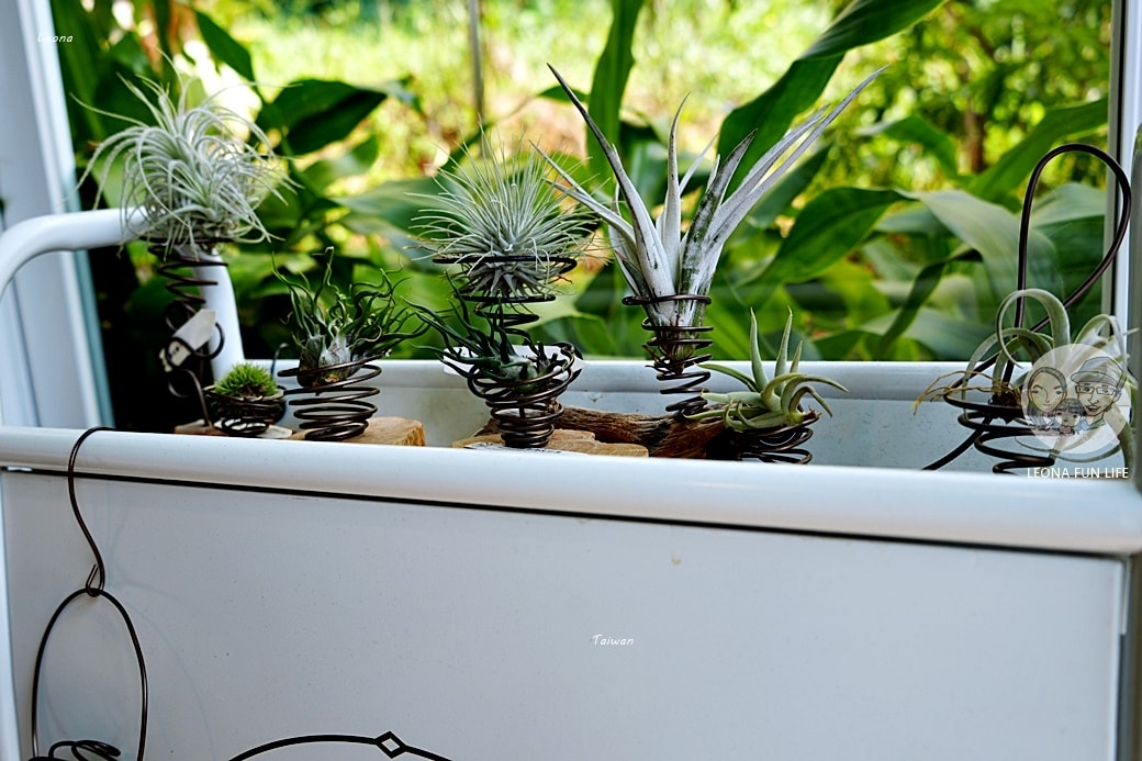 20251027_-365 20251027_-365