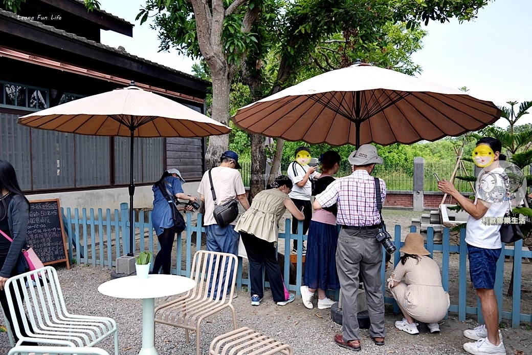 20251027_-735 20251027_-735