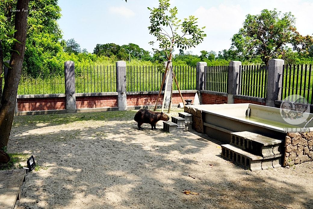 20251027_-736 20251027_-736