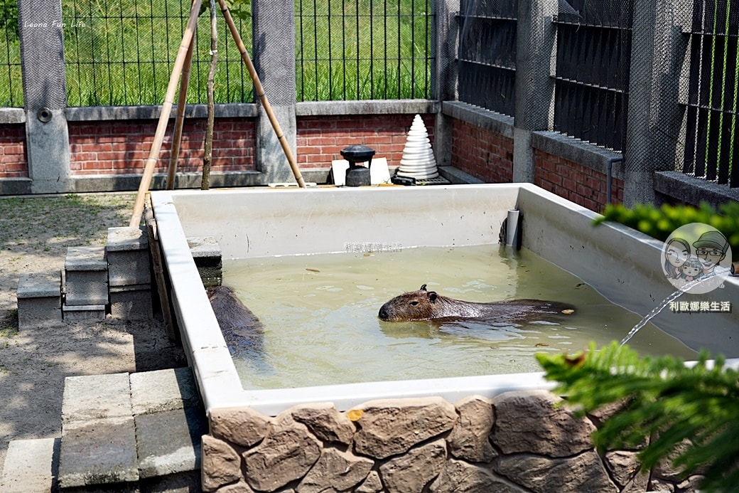 20251027_-738 20251027_-738