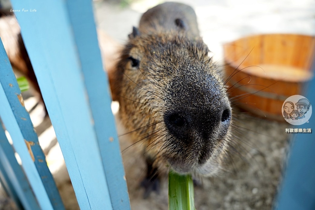 20251027_-739 20251027_-739