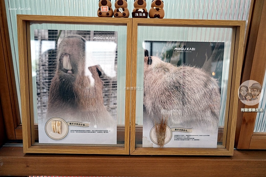 20251027_-760 20251027_-760