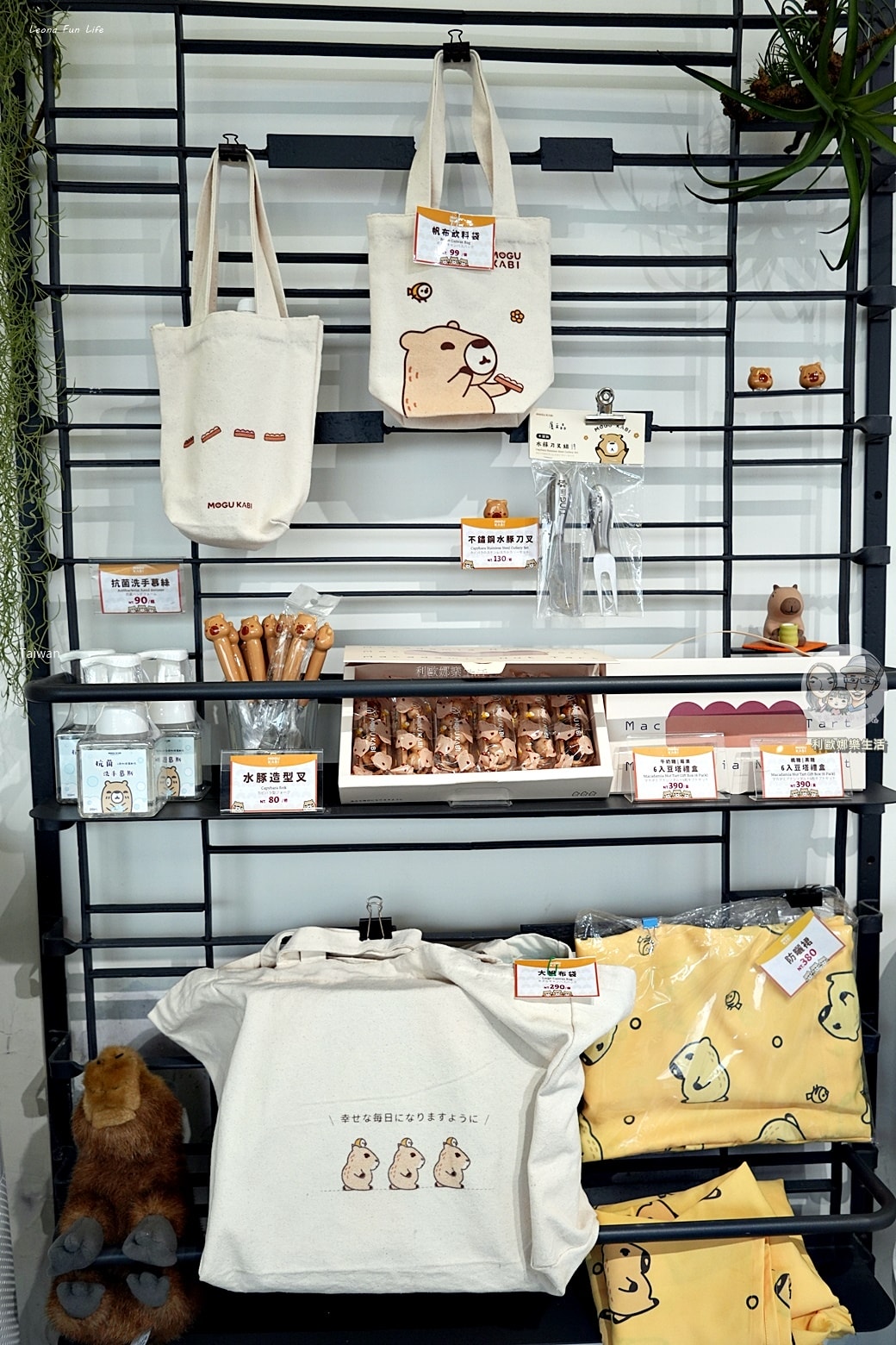 20251027_-762 20251027_-762