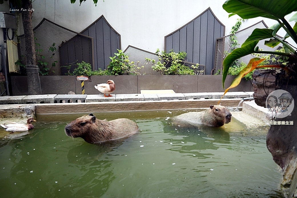 20251027_-771 20251027_-771