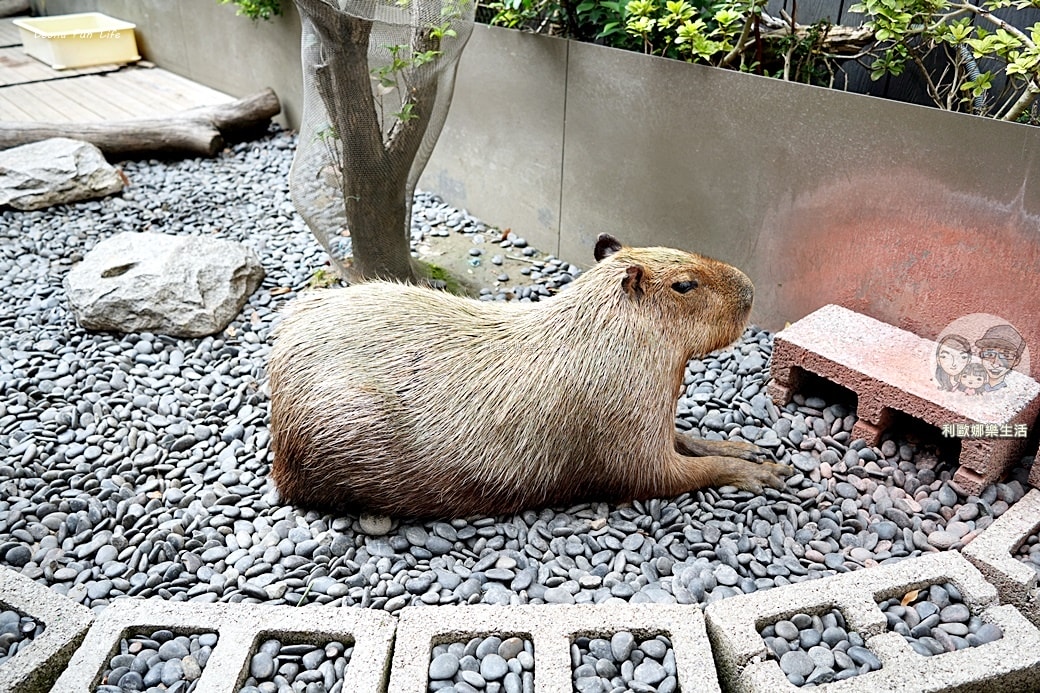 20251027_-772 20251027_-772