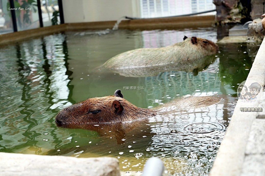 20251027_-773 20251027_-773