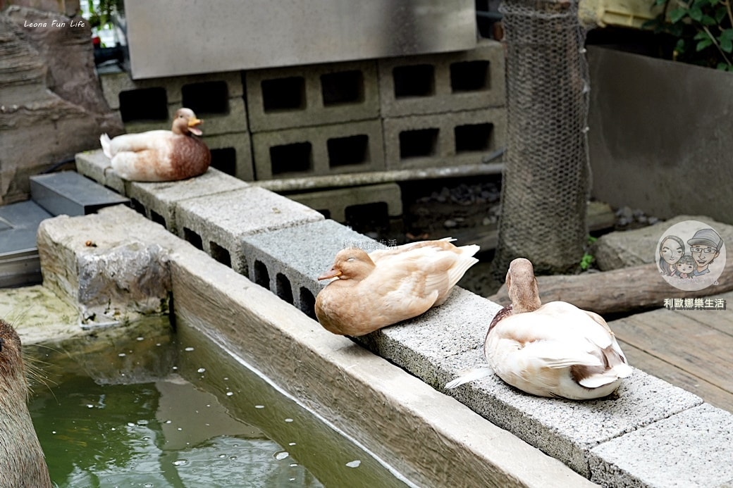 20251027_-774 20251027_-774