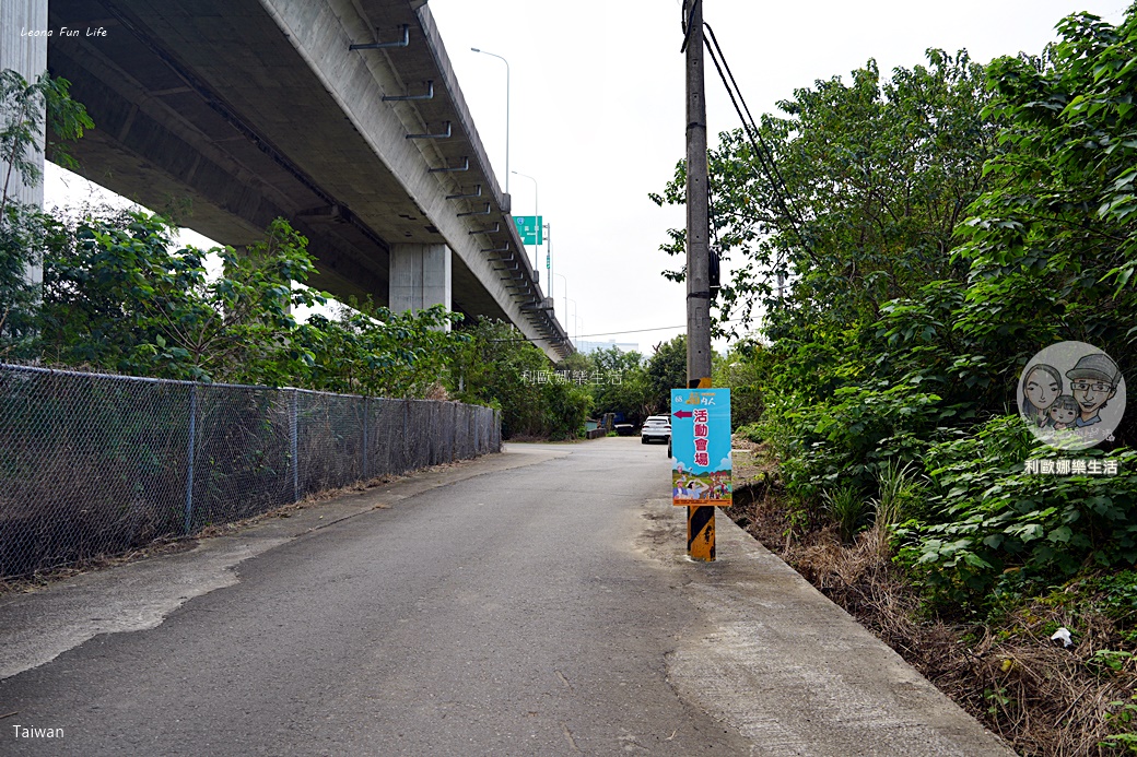苗栗銅鑼杭菊一日遊：11月雪花海必拍打卡點！還有杭菊火車與美食雙重享受！銅鑼杭菊節/杭菊芋頭節