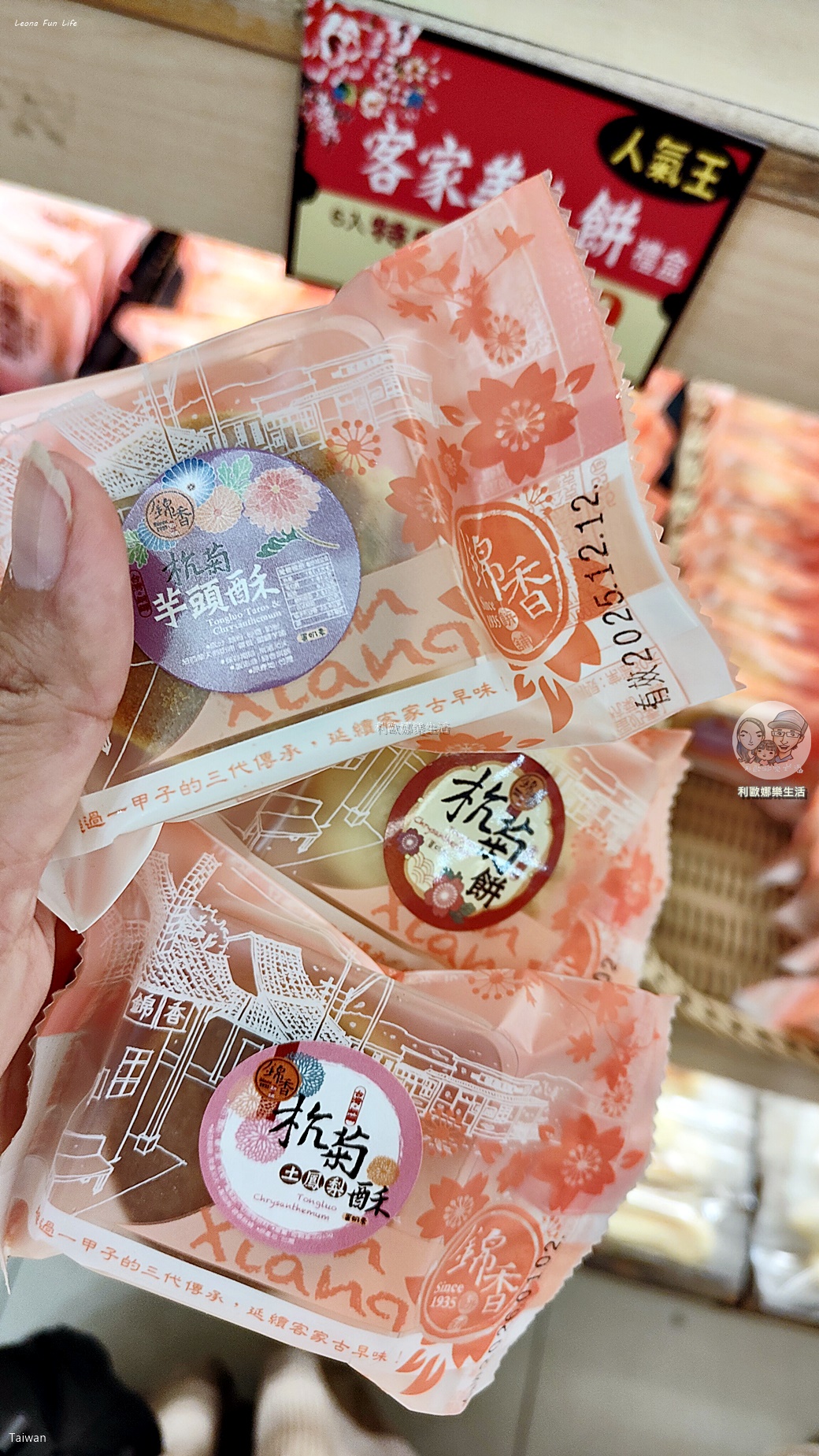 苗栗銅鑼杭菊一日遊：11月雪花海必拍打卡點！還有杭菊火車與美食雙重享受！銅鑼杭菊節/杭菊芋頭節