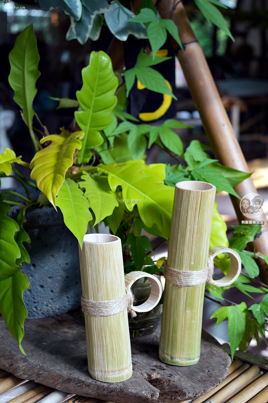 嘉義景點|阿里山達娜伊谷必玩清單:絕美吊橋、部落歌舞表演、溪谷賞魚,深度體驗鄒族文化! - 第47張圖 嘉義景點|阿里山達娜伊谷必玩清單:絕美吊橋、部落歌舞表演、溪谷賞魚,深度體驗鄒族文化!