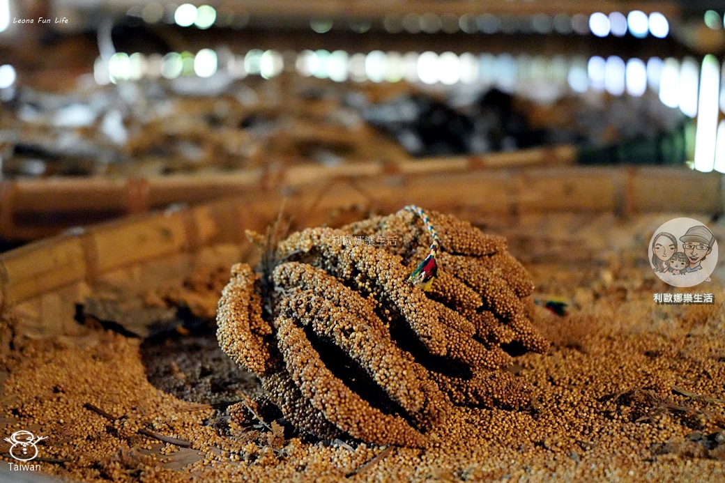 嘉義景點|阿里山達娜伊谷必玩清單:絕美吊橋、部落歌舞表演、溪谷賞魚,深度體驗鄒族文化! - 第24張圖 嘉義景點|阿里山達娜伊谷必玩清單:絕美吊橋、部落歌舞表演、溪谷賞魚,深度體驗鄒族文化!