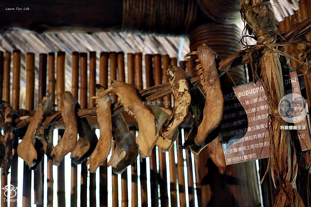 嘉義景點|阿里山達娜伊谷必玩清單:絕美吊橋、部落歌舞表演、溪谷賞魚,深度體驗鄒族文化! - 第20張圖 嘉義景點|阿里山達娜伊谷必玩清單:絕美吊橋、部落歌舞表演、溪谷賞魚,深度體驗鄒族文化!