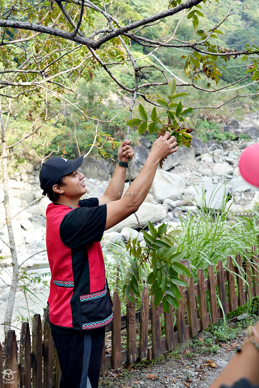 嘉義景點|阿里山達娜伊谷必玩清單:絕美吊橋、部落歌舞表演、溪谷賞魚,深度體驗鄒族文化! - 第28張圖 嘉義景點|阿里山達娜伊谷必玩清單:絕美吊橋、部落歌舞表演、溪谷賞魚,深度體驗鄒族文化!