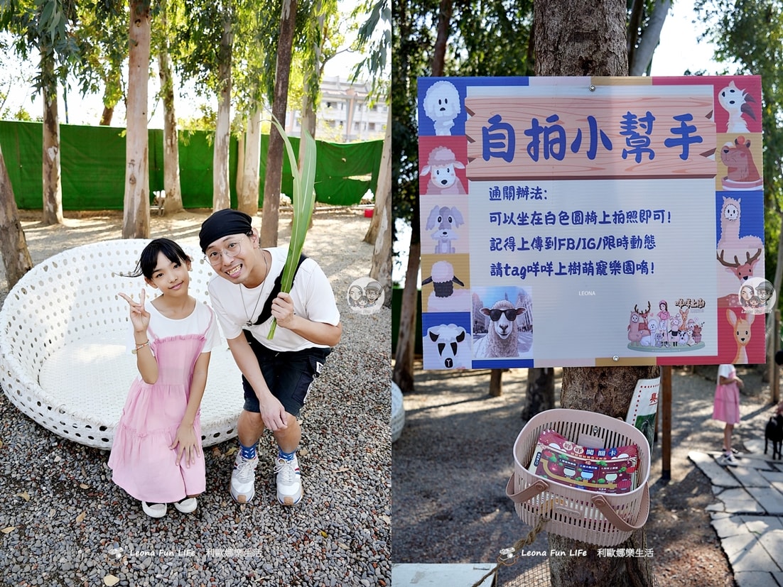 嘉義親子景點｜咩咩上樹萌寵樂園：森林版動物園！挑戰高空滑索、被笑笑羊包圍，故宮南院旁停車超方便