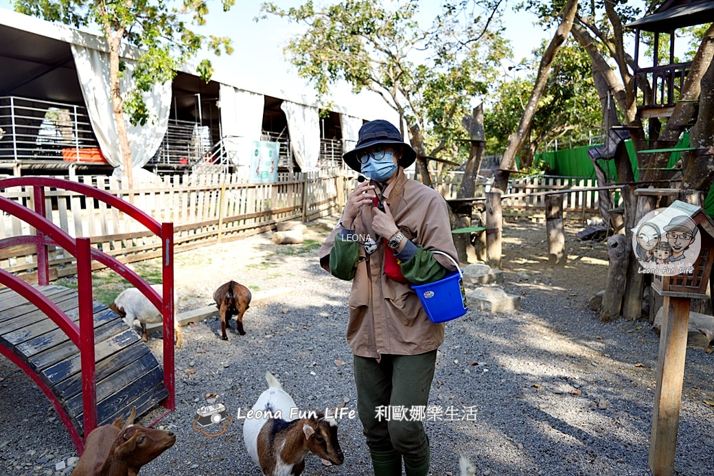 嘉義親子景點｜咩咩上樹萌寵樂園：森林版動物園！挑戰高空滑索、被笑笑羊包圍，故宮南院旁停車超方便