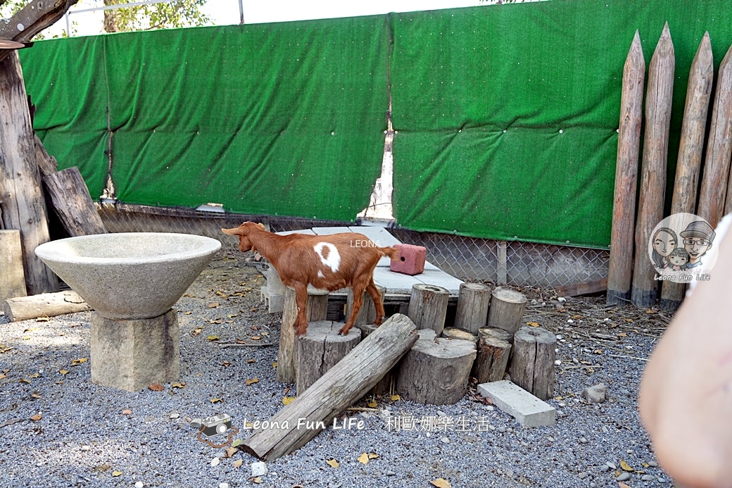 嘉義親子景點｜咩咩上樹萌寵樂園：森林版動物園！挑戰高空滑索、被笑笑羊包圍，故宮南院旁停車超方便