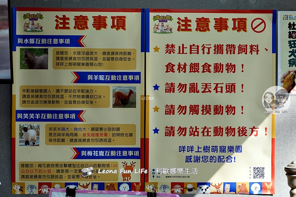 嘉義親子景點｜咩咩上樹萌寵樂園：森林版動物園！挑戰高空滑索、被笑笑羊包圍，故宮南院旁停車超方便