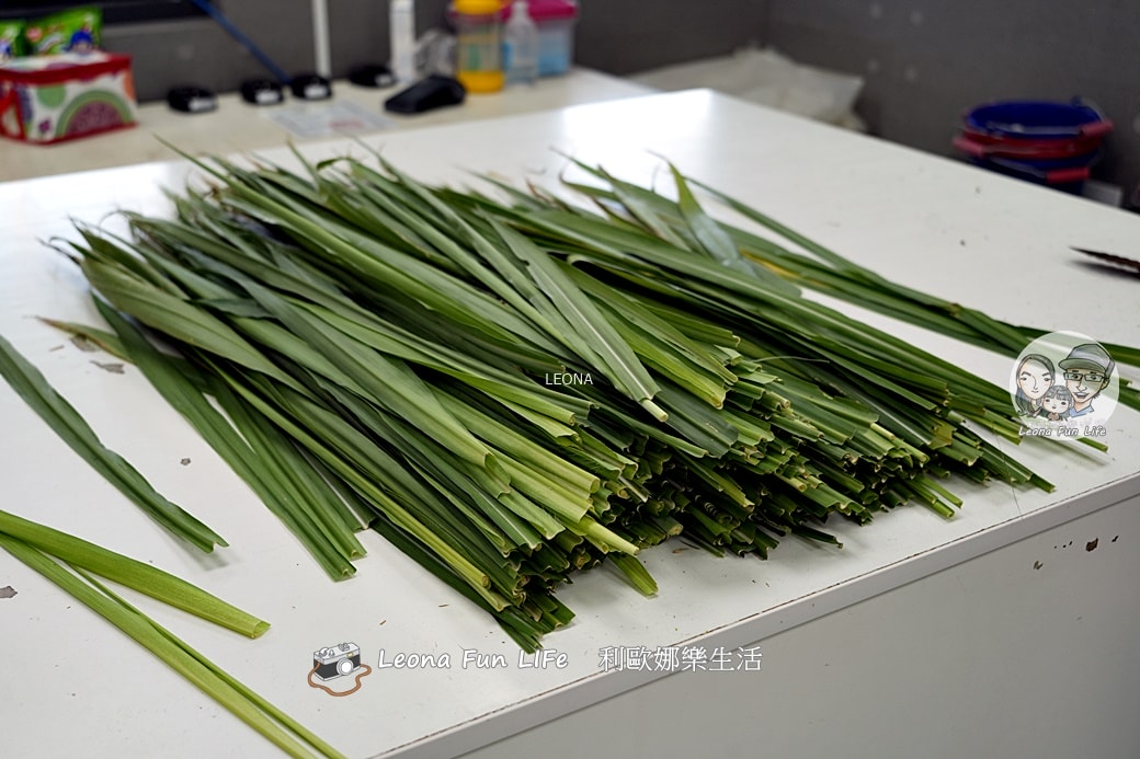 嘉義親子景點｜咩咩上樹萌寵樂園：森林版動物園！挑戰高空滑索、被笑笑羊包圍，故宮南院旁停車超方便