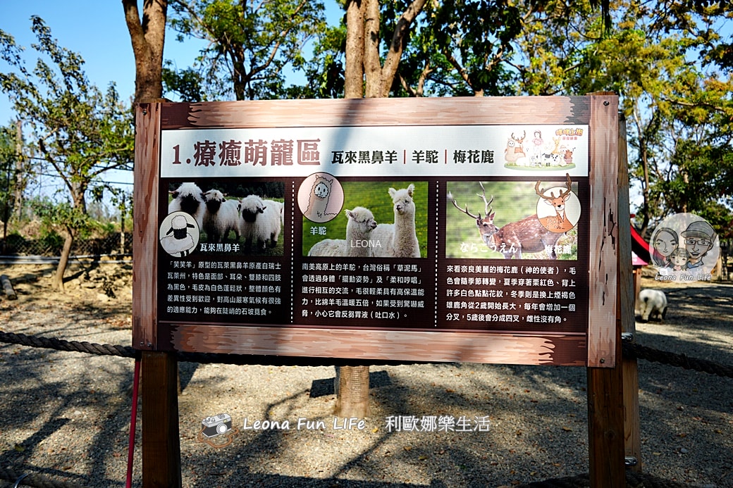嘉義親子景點｜咩咩上樹萌寵樂園：森林版動物園！挑戰高空滑索、被笑笑羊包圍，故宮南院旁停車超方便