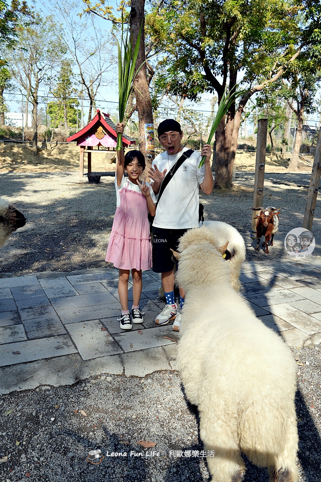 嘉義親子景點｜咩咩上樹萌寵樂園：森林版動物園！挑戰高空滑索、被笑笑羊包圍，故宮南院旁停車超方便