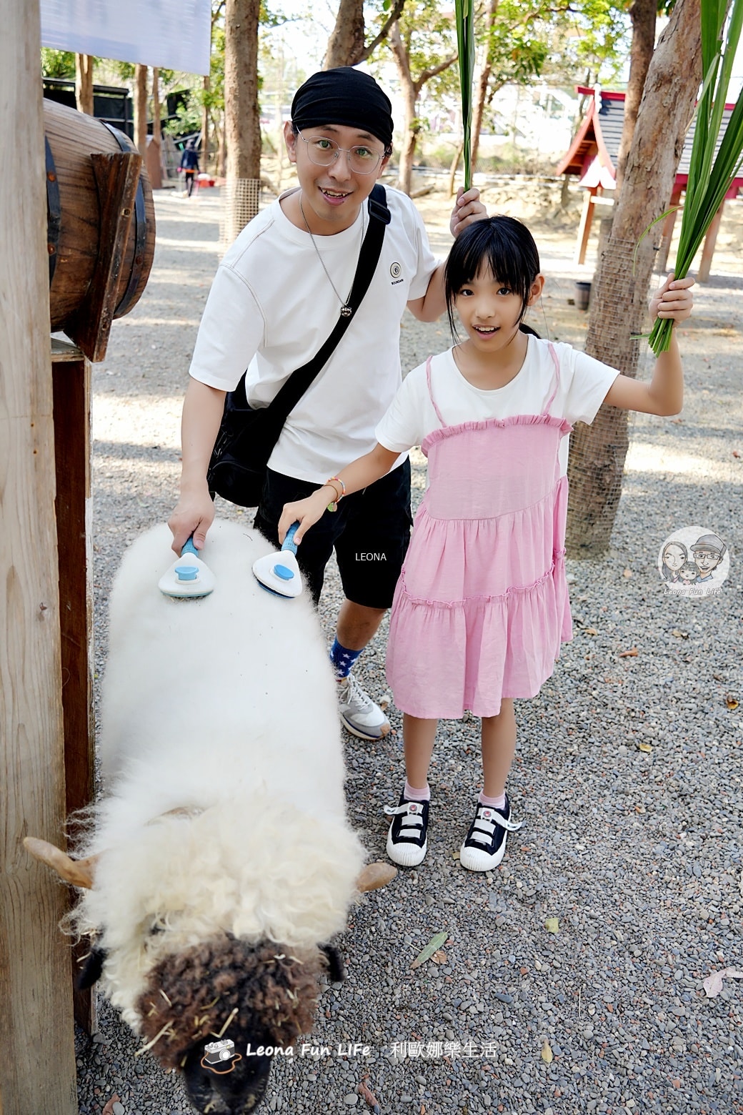 嘉義親子景點｜咩咩上樹萌寵樂園：森林版動物園！挑戰高空滑索、被笑笑羊包圍，故宮南院旁停車超方便