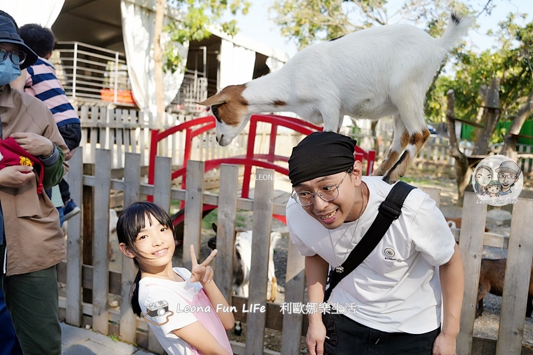 嘉義親子景點｜咩咩上樹萌寵樂園：森林版動物園！挑戰高空滑索、被笑笑羊包圍，故宮南院旁停車超方便