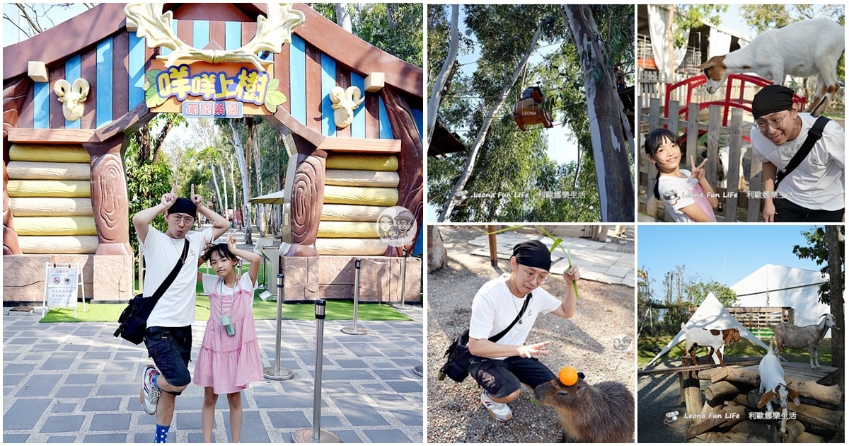 嘉義親子景點｜咩咩上樹萌寵樂園：森林版動物園！挑戰高空滑索、被笑笑羊包圍，故宮南院旁停車超方便