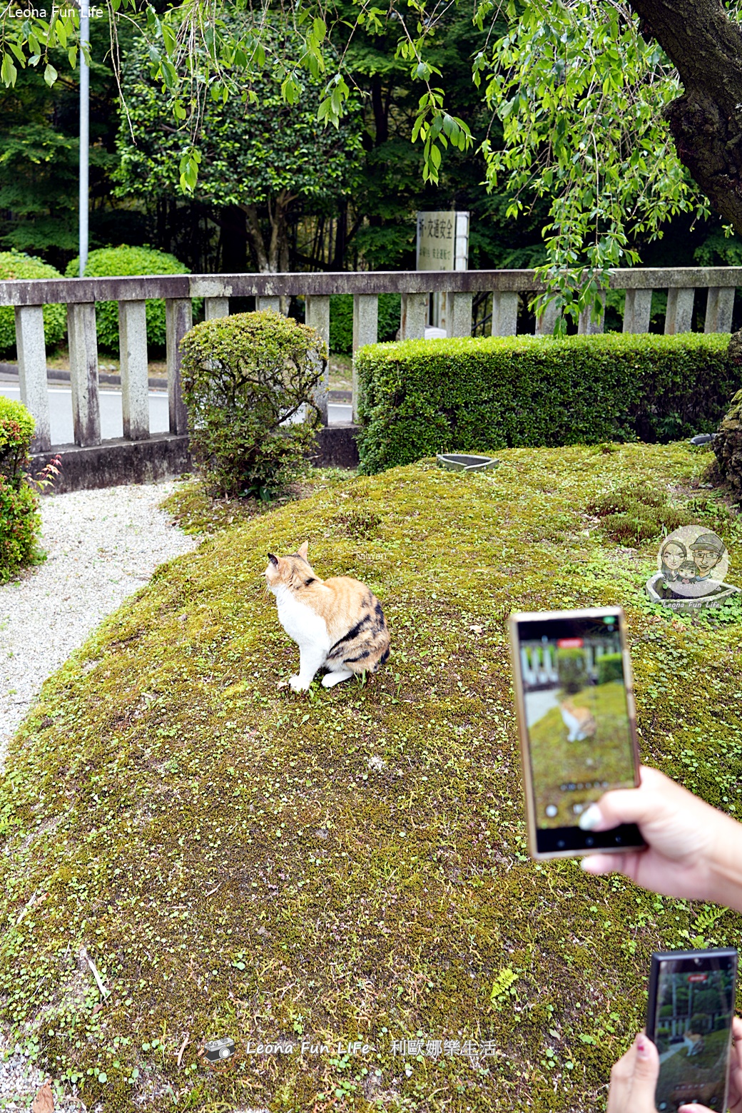 福岡一日遊|搭麗星郵輪快閃福岡！雷山千如寺找招財貓、糸島夫婦岩絕美海景，一蘭拉麵驚見男神的簽名！