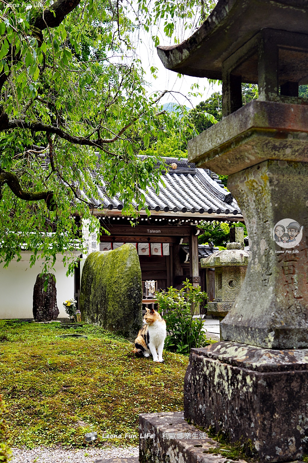 福岡一日遊|搭麗星郵輪快閃福岡！雷山千如寺找招財貓、糸島夫婦岩絕美海景，一蘭拉麵驚見男神的簽名！