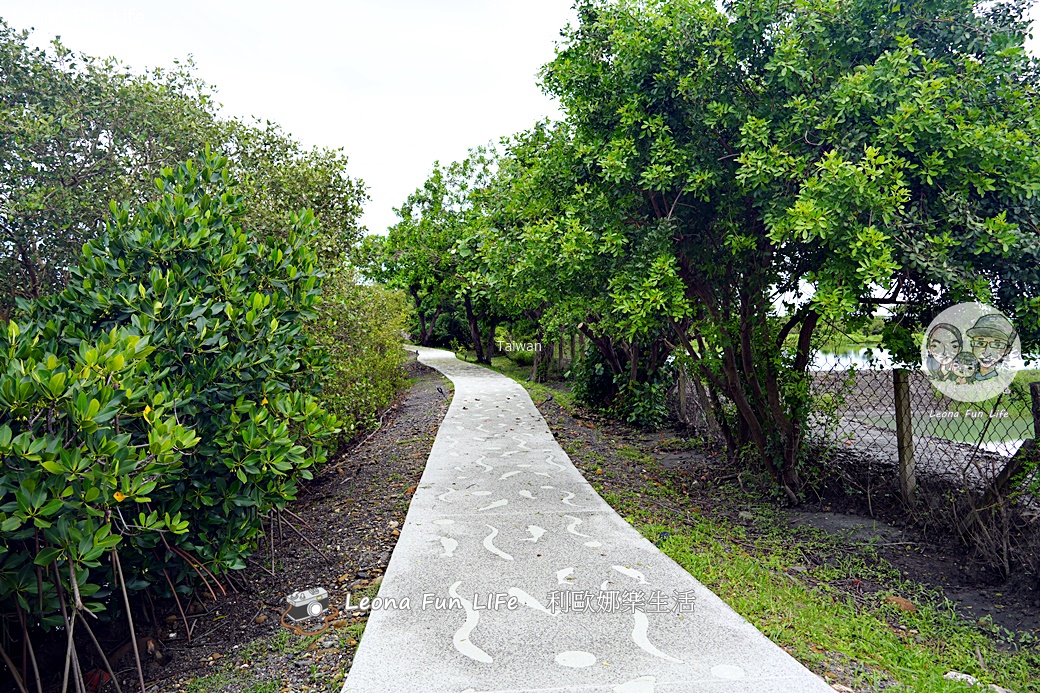 屏東大鵬灣祕境｜漂浮綠洲咖啡：坐擁絕美湖畔的寵物友善空間，零距離感受生態之美！