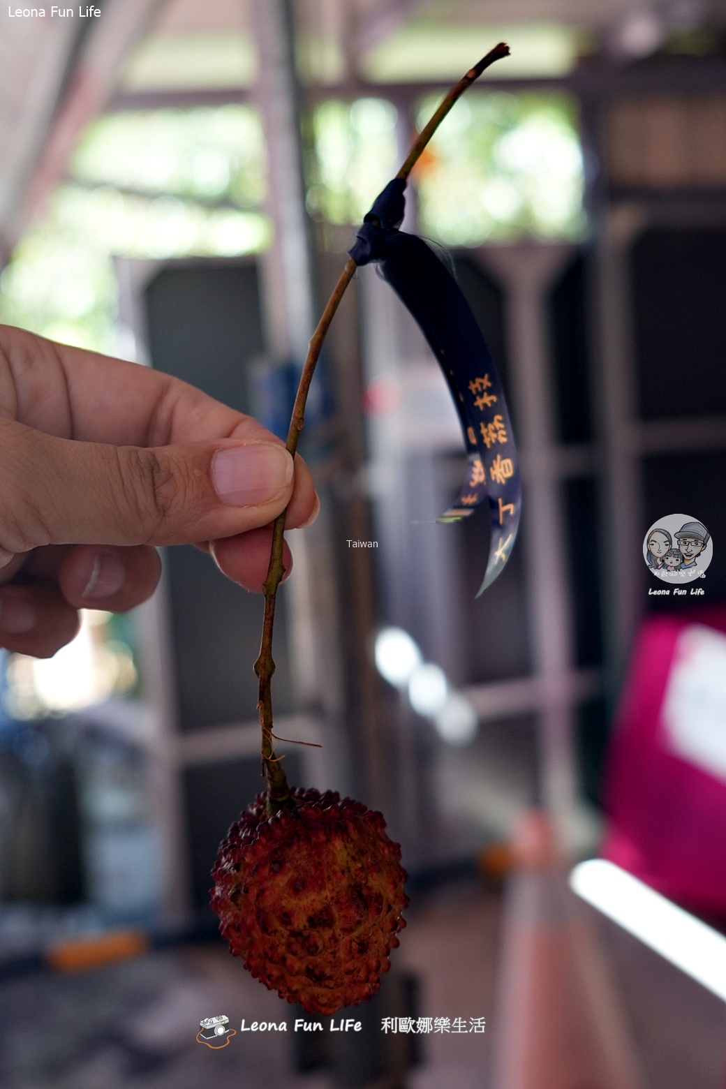 台中太平景點|簡家荔枝園-親子採果一日遊,邊採邊吃、還有好玩DIY,明年還要來! - 第10張圖 台中太平景點|簡家荔枝園-親子採果一日遊,邊採邊吃、還有好玩DIY,明年還要來!