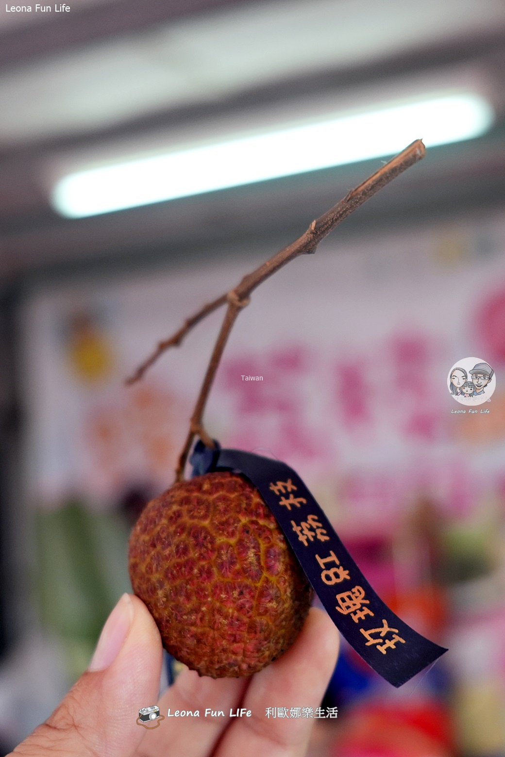 台中太平景點|簡家荔枝園-親子採果一日遊,邊採邊吃、還有好玩DIY,明年還要來! - 第11張圖 台中太平景點|簡家荔枝園-親子採果一日遊,邊採邊吃、還有好玩DIY,明年還要來!