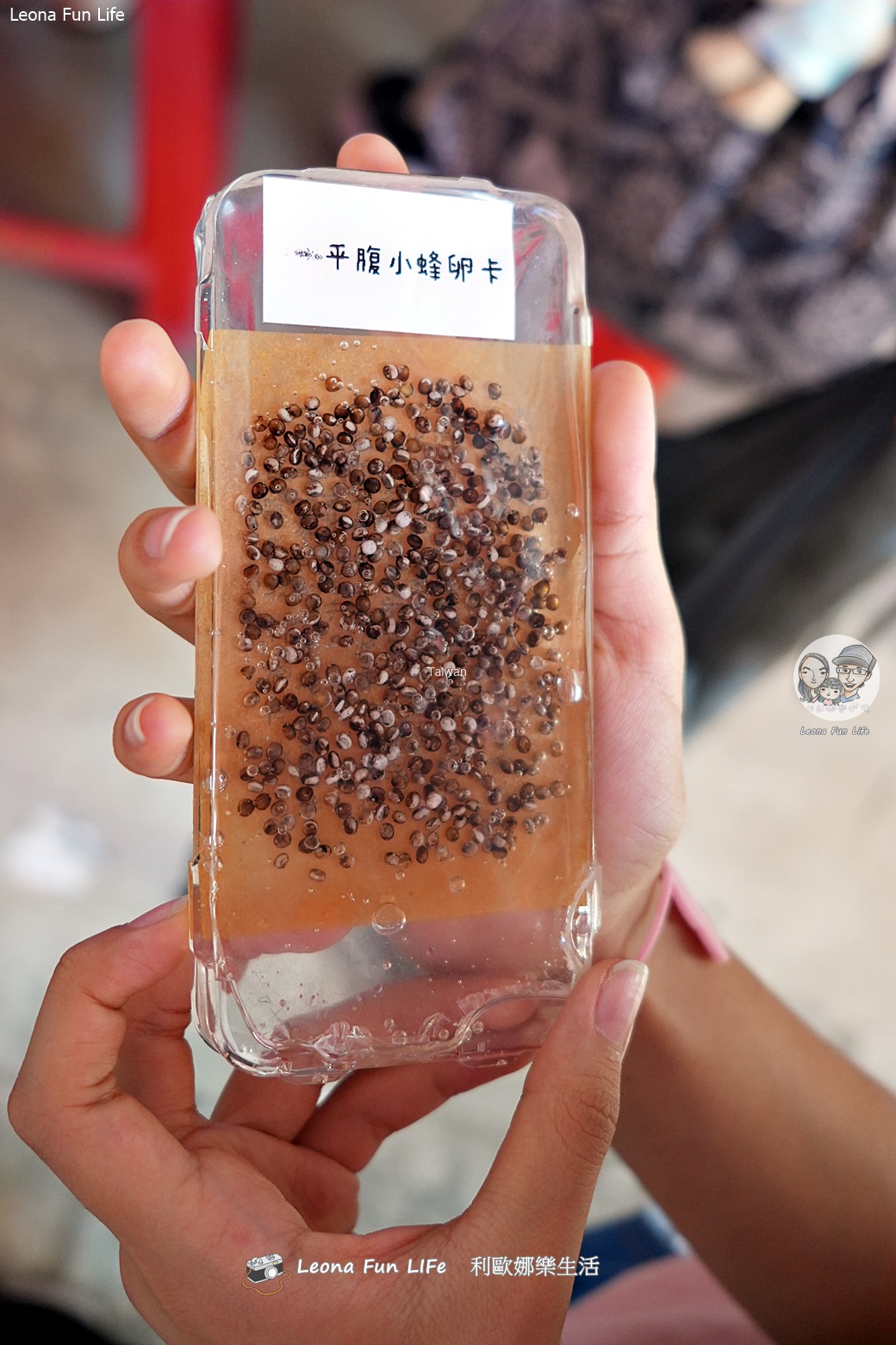 台中太平景點|簡家荔枝園-親子採果一日遊,邊採邊吃、還有好玩DIY,明年還要來! - 第12張圖 台中太平景點|簡家荔枝園-親子採果一日遊,邊採邊吃、還有好玩DIY,明年還要來!