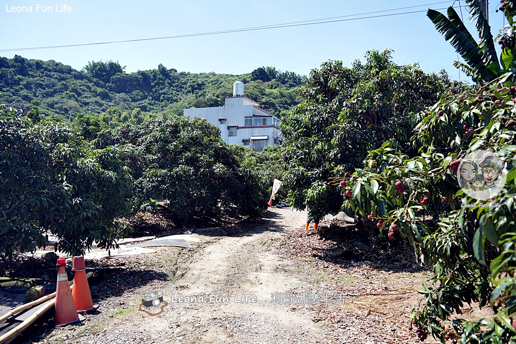 台中太平景點|簡家荔枝園-親子採果一日遊,邊採邊吃、還有好玩DIY,明年還要來! - 第13張圖 台中太平景點|簡家荔枝園-親子採果一日遊,邊採邊吃、還有好玩DIY,明年還要來!