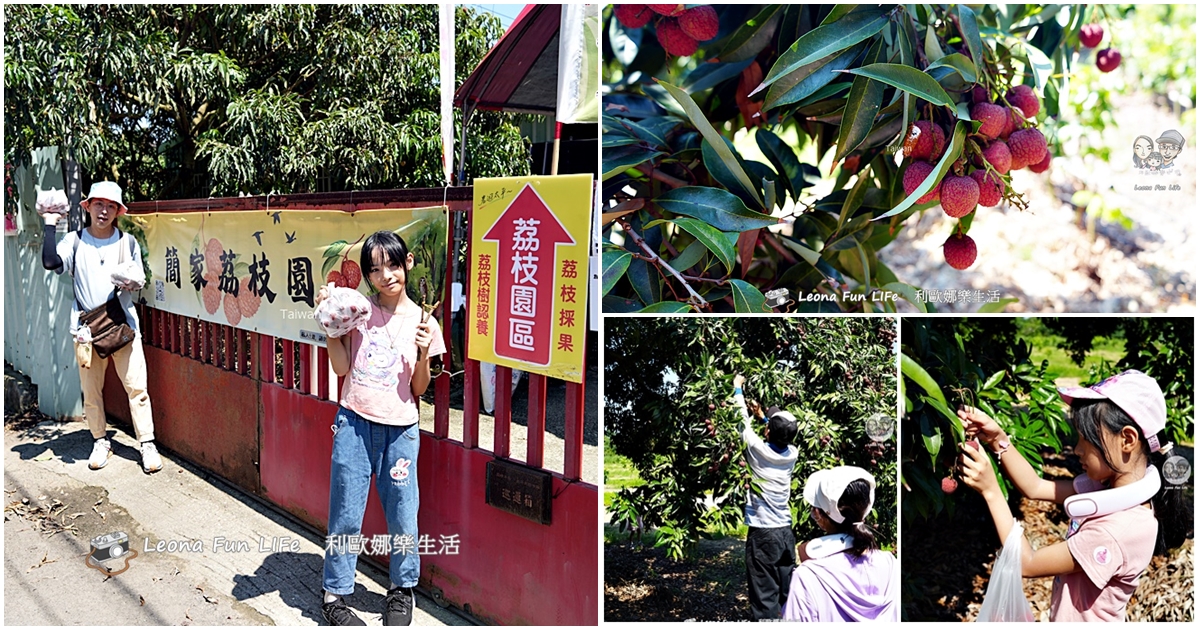 台中太平景點|簡家荔枝園-親子採果一日遊,邊採邊吃、還有好玩DIY,明年還要來! - 第1張圖 台中太平景點|簡家荔枝園-親子採果一日遊,邊採邊吃、還有好玩DIY,明年還要來!